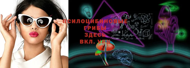 Галлюциногенные грибы MAGIC MUSHROOMS  мориарти Telegram  Ялуторовск  купить  